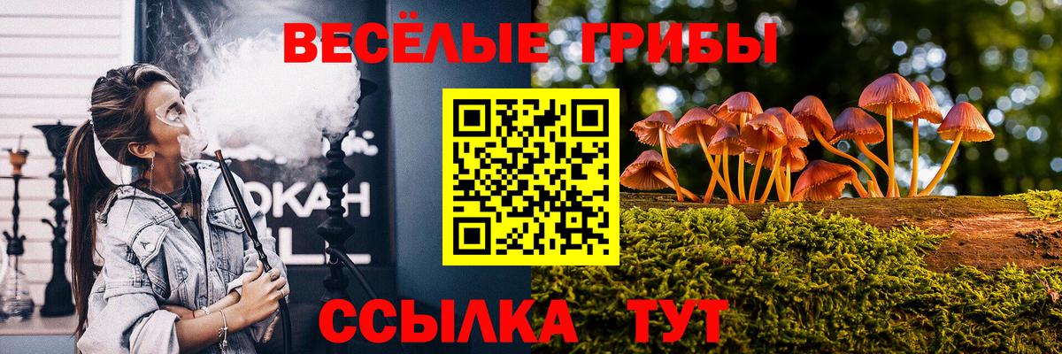 Галлюциногенные грибы Psilocybine cubensis Вольск