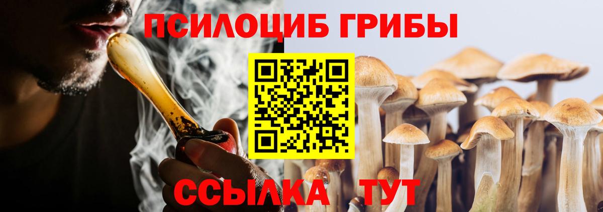 Вольск  Галлюциногенные грибы Psilocybine cubensis  Вход с VPN 
