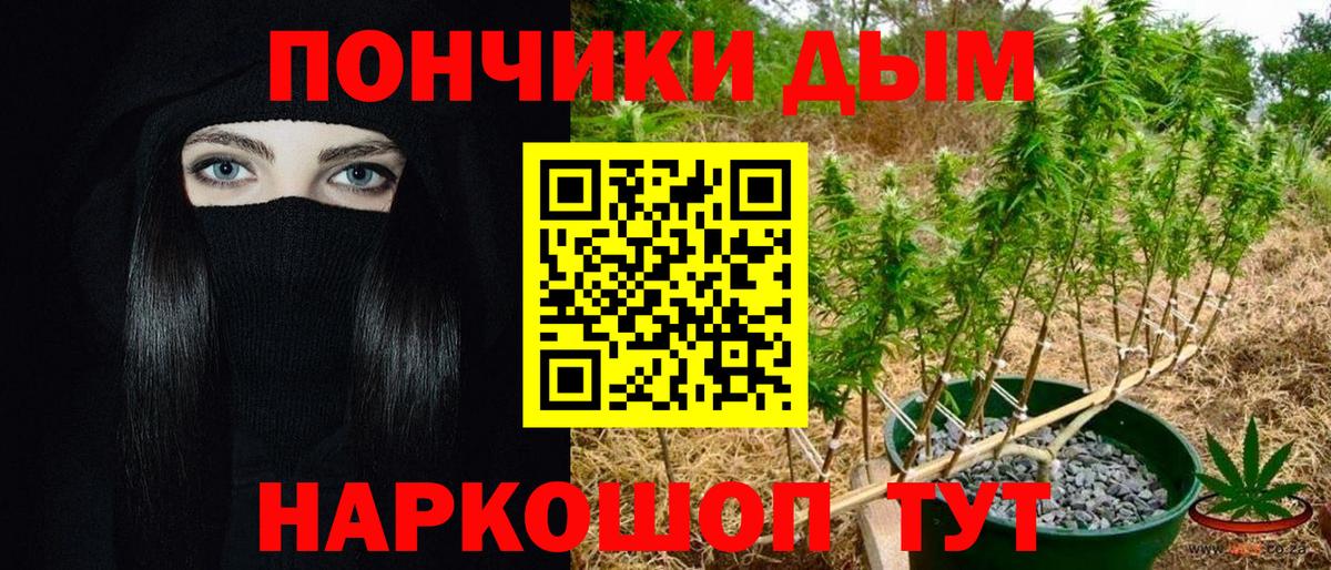 Бошки Шишки конопля Вольск
